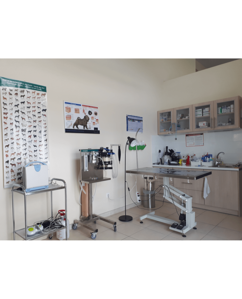 Εσωτερικό κτηνιατρείου 3